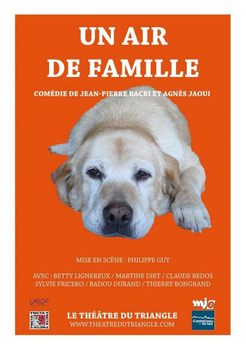 Affiche un air de famille